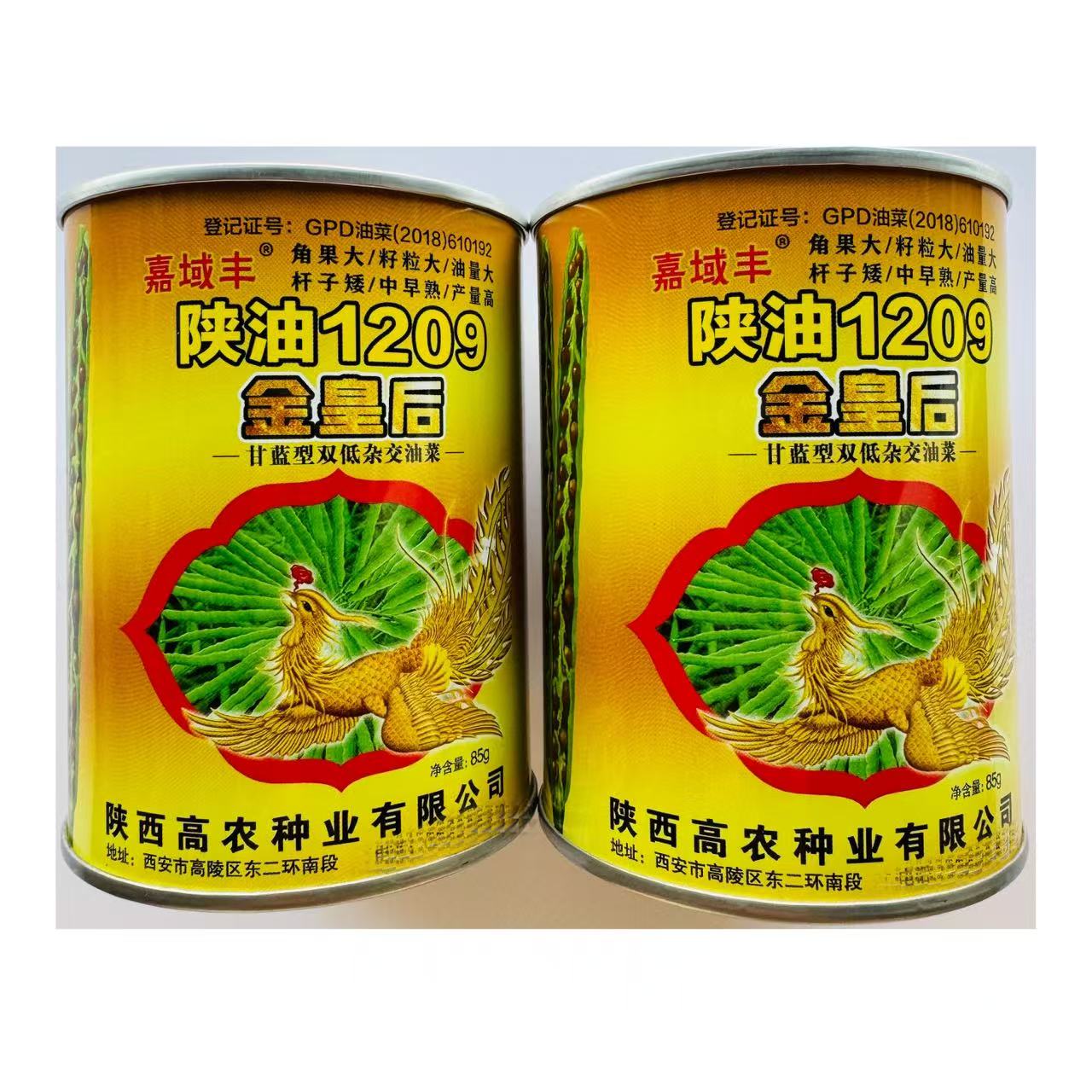 陕油1209金皇后油菜种子 高产榨油专用高产杂交种子优质油料蔬菜