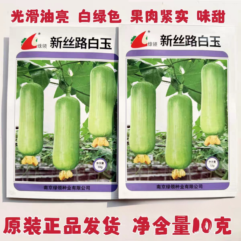 绿领新丝路白玉丝瓜种子