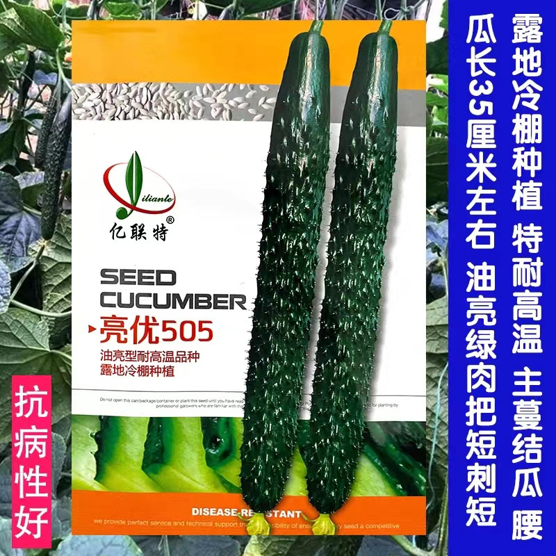 亮优505黄瓜种子夏季播耐高温水果黄瓜种籽油亮型黄瓜籽绿瓤把短