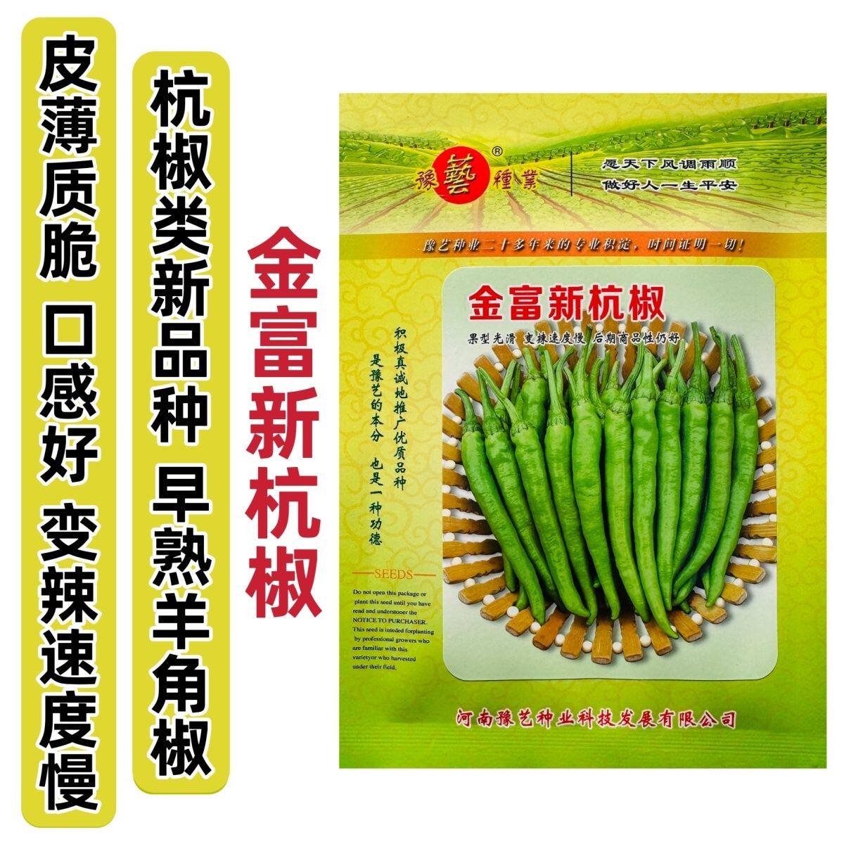 豫艺金富新杭椒种子微辣