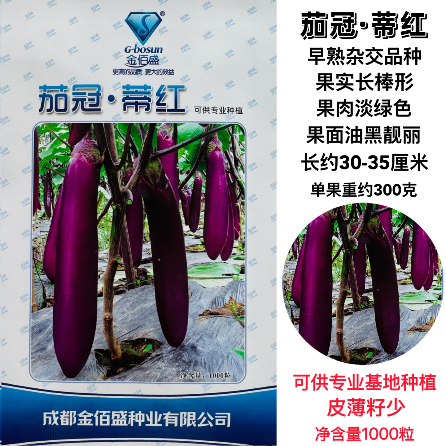 茄冠蒂红茄子种子早熟杂交肉质细嫩商品性好果皮油黑靓丽皮薄籽少