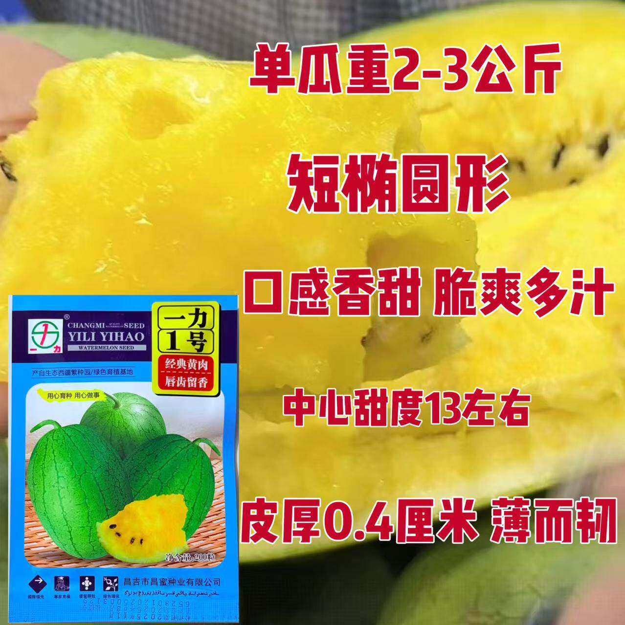 一力1号西瓜种子 绿皮黄肉 早熟脆甜多汁 迷你礼品西瓜种籽