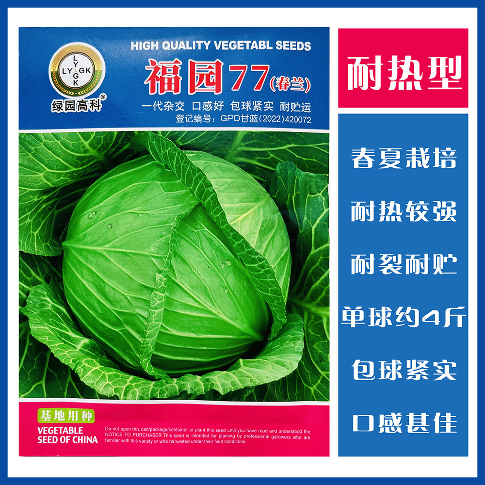 福园77春兰卷心菜种籽春