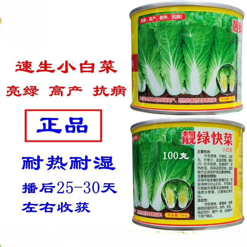 快菜种子靓绿快菜种子青硕小白菜种子耐热耐雨速生夏季秋季白菜籽