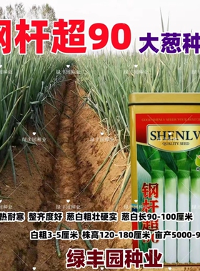 铁杆超90大葱种子章丘大葱中华巨葱王香葱耐热抗寒春季秋冬季四季