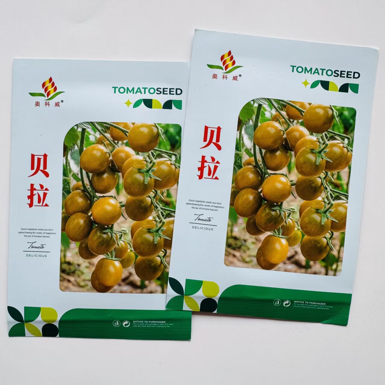 正品 贝拉口感小番茄种子 无限生长型 果皮黄绿色 高圆硬度口感好