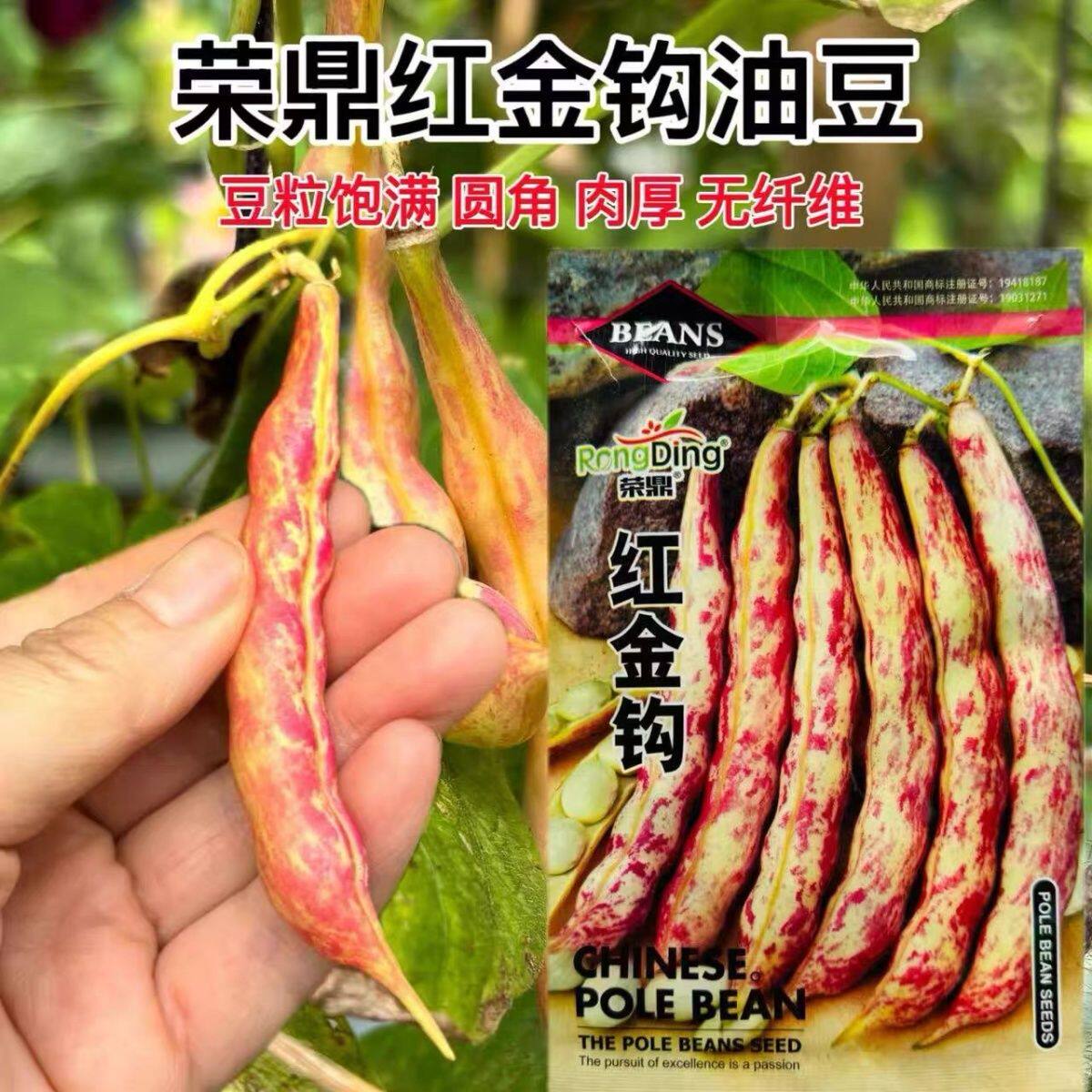 荣鼎红金钩豆角种子黄金勾芸豆大荚油豆种籽农家四季种植蔬菜种孑