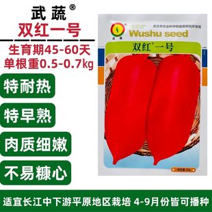 武蔬双红一号红萝卜种子忒耐热早熟红皮白肉萝卜种籽不易糠心夏秋