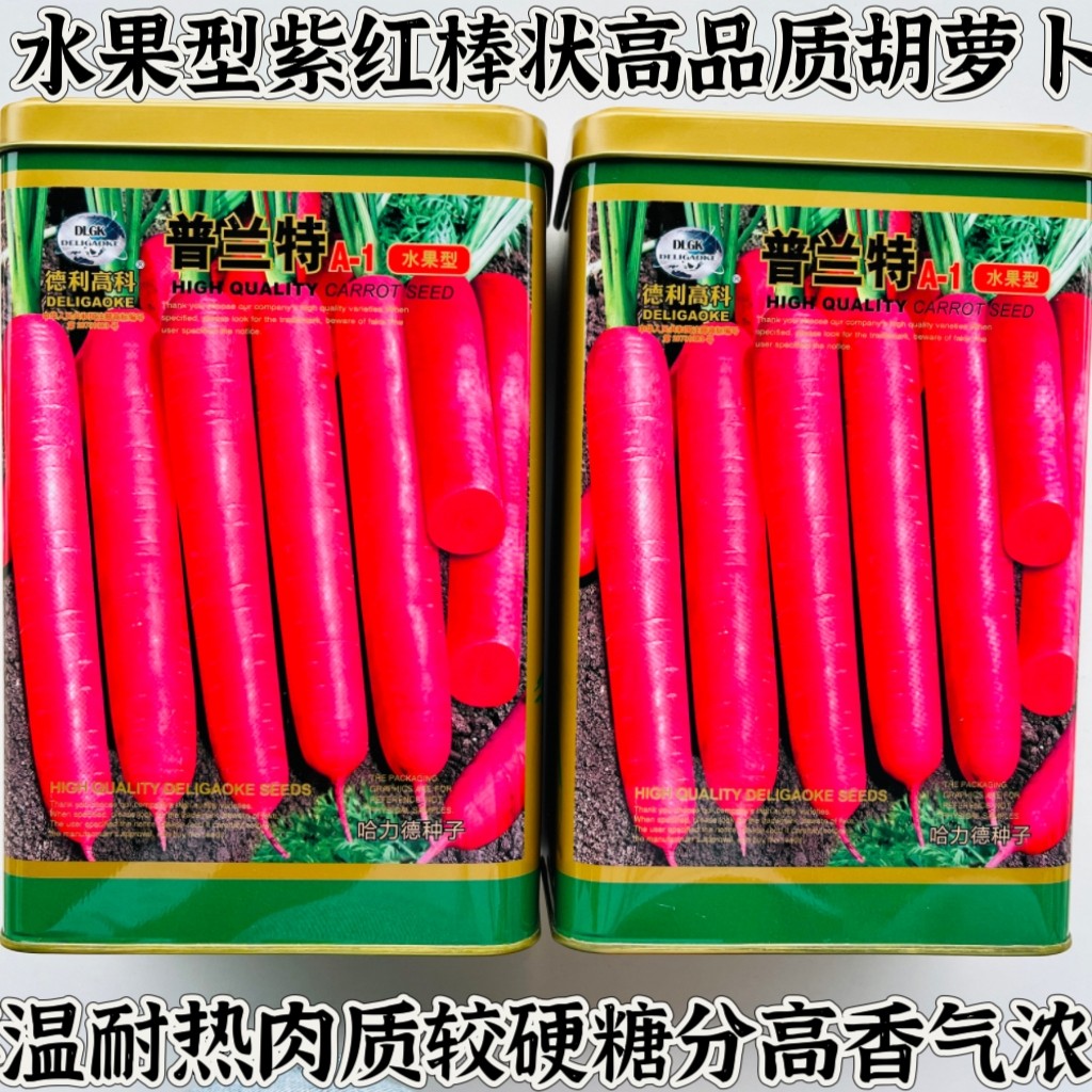普兰特紫红胡萝卜种子春