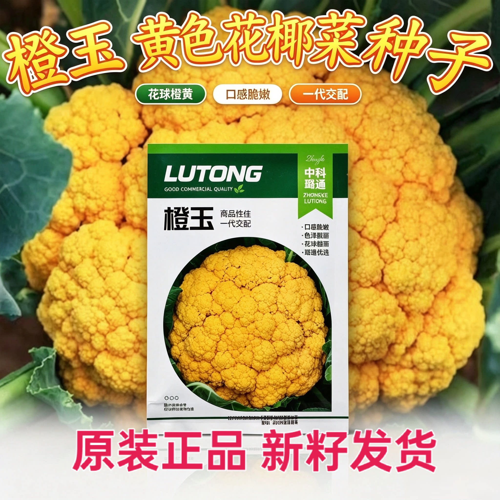 橙玉花菜种子花球橙黄口感脆嫩花椰菜种籽农家四季蔬菜种黄花菜种
