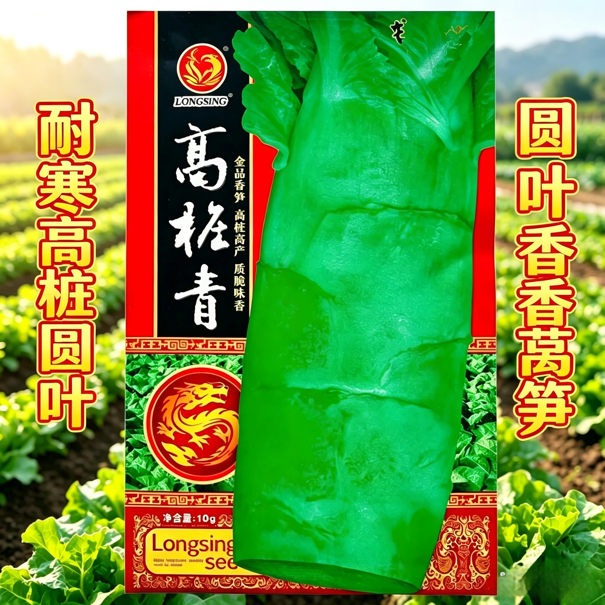 龙盛高桩青莴笋种子 耐寒高桩香莴笋种子椭圆叶莴笋种子春秋季种