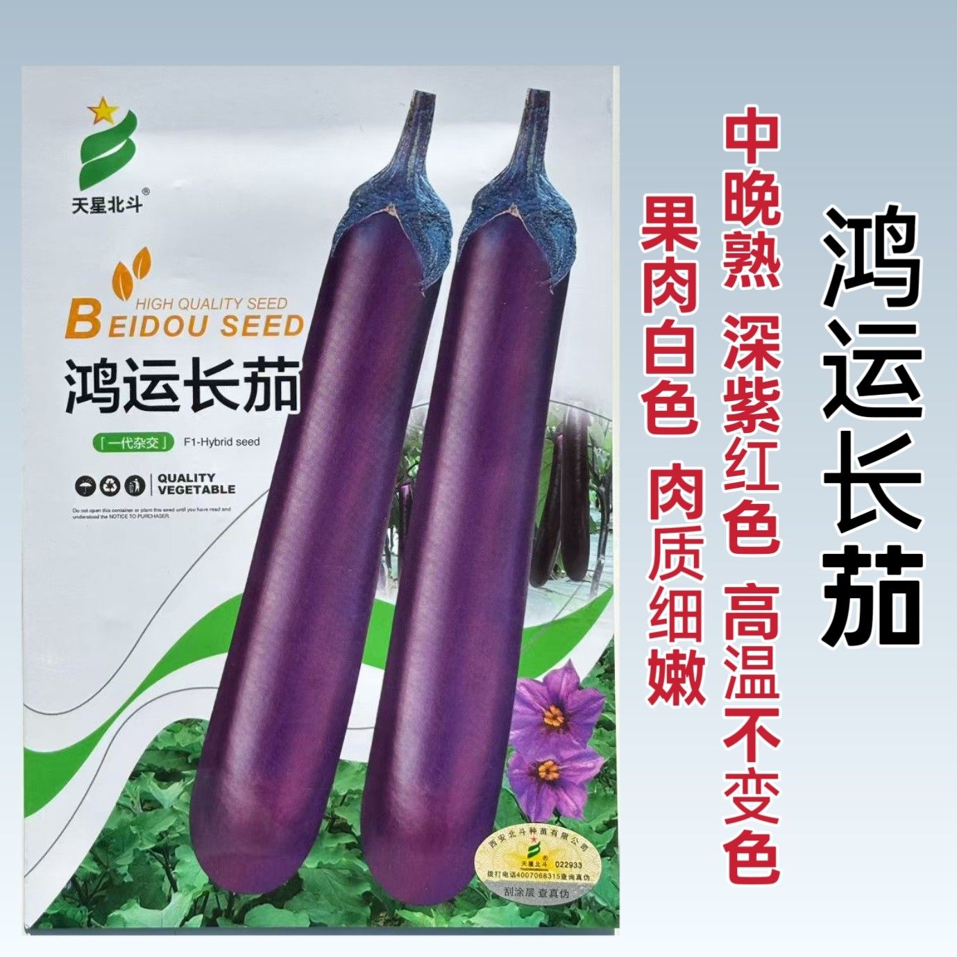 鸿运长茄种子中晚熟果色深紫红果肉白色紫红茄子种子