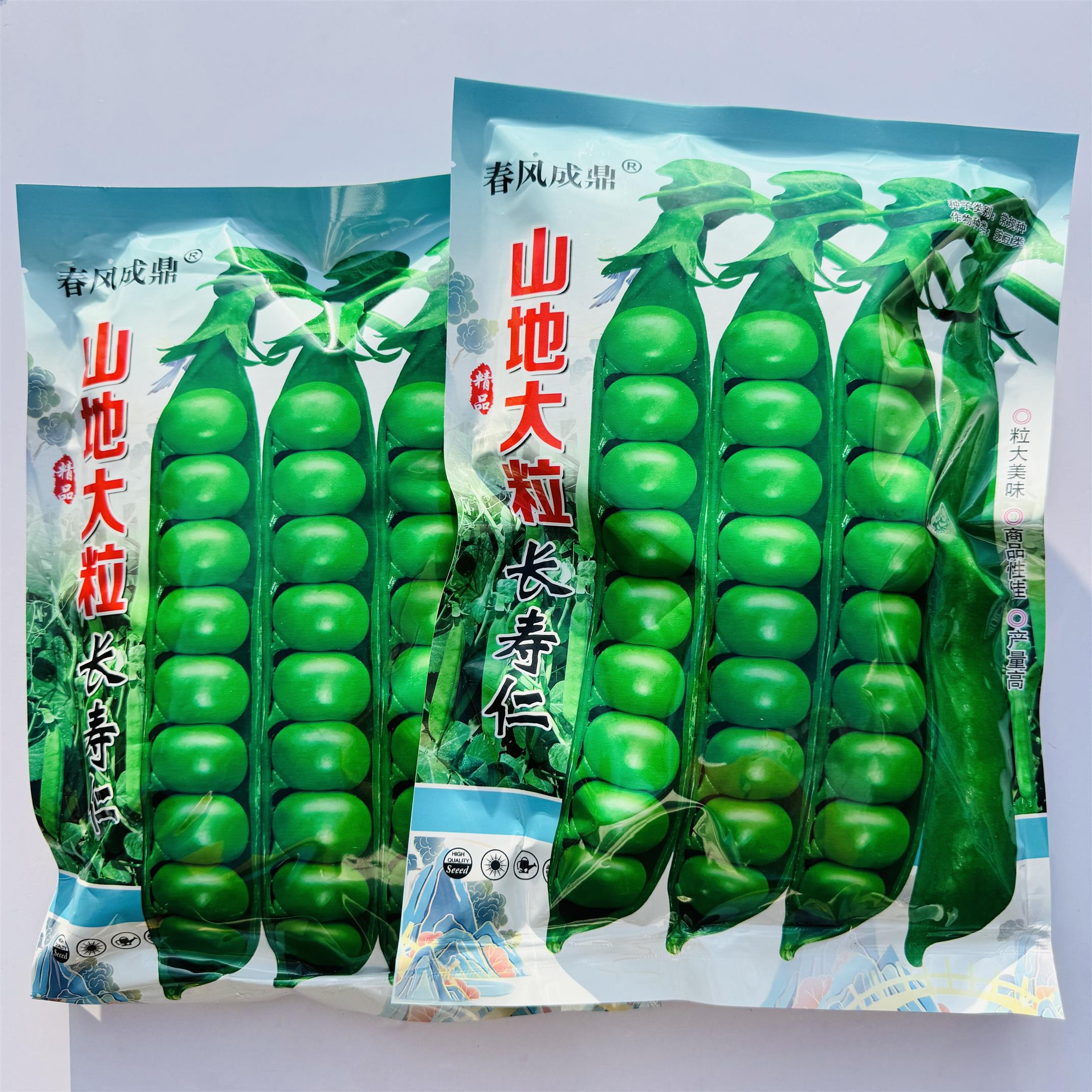 山地大粒长寿仁豌豆种子 甜脆青碗豆青豆种籽孑基地秋冬高产抗病