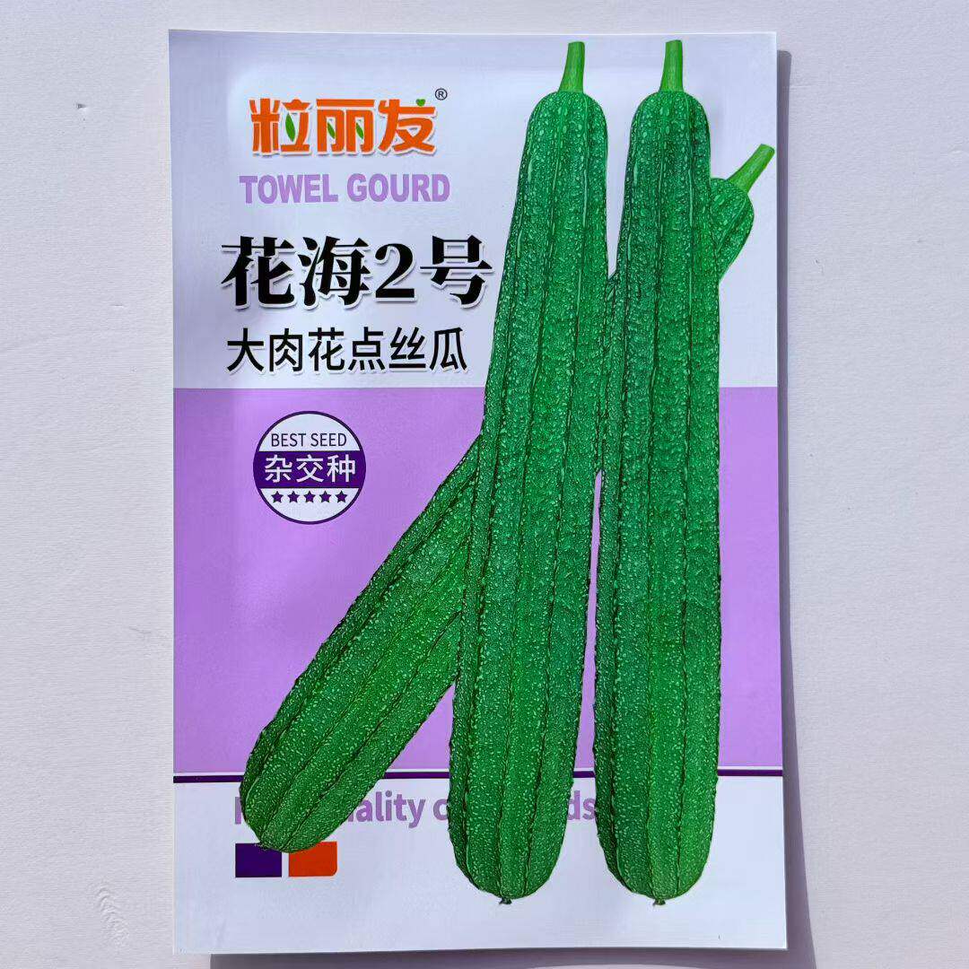 花海2号 大肉花点丝瓜种子甜脆厚肉大果高产抗病商品性佳春秋季播
