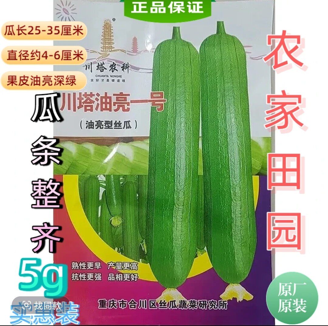 川塔油亮一号丝瓜种子 早熟油亮型丝瓜皮薄肉质细嫩产量高好吃