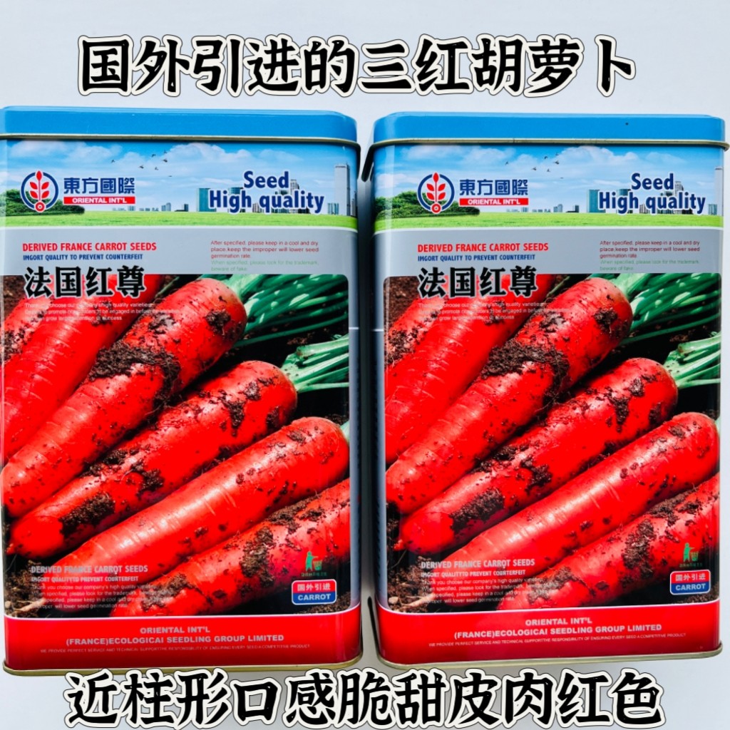 胡萝卜种子法国红尊菜籽