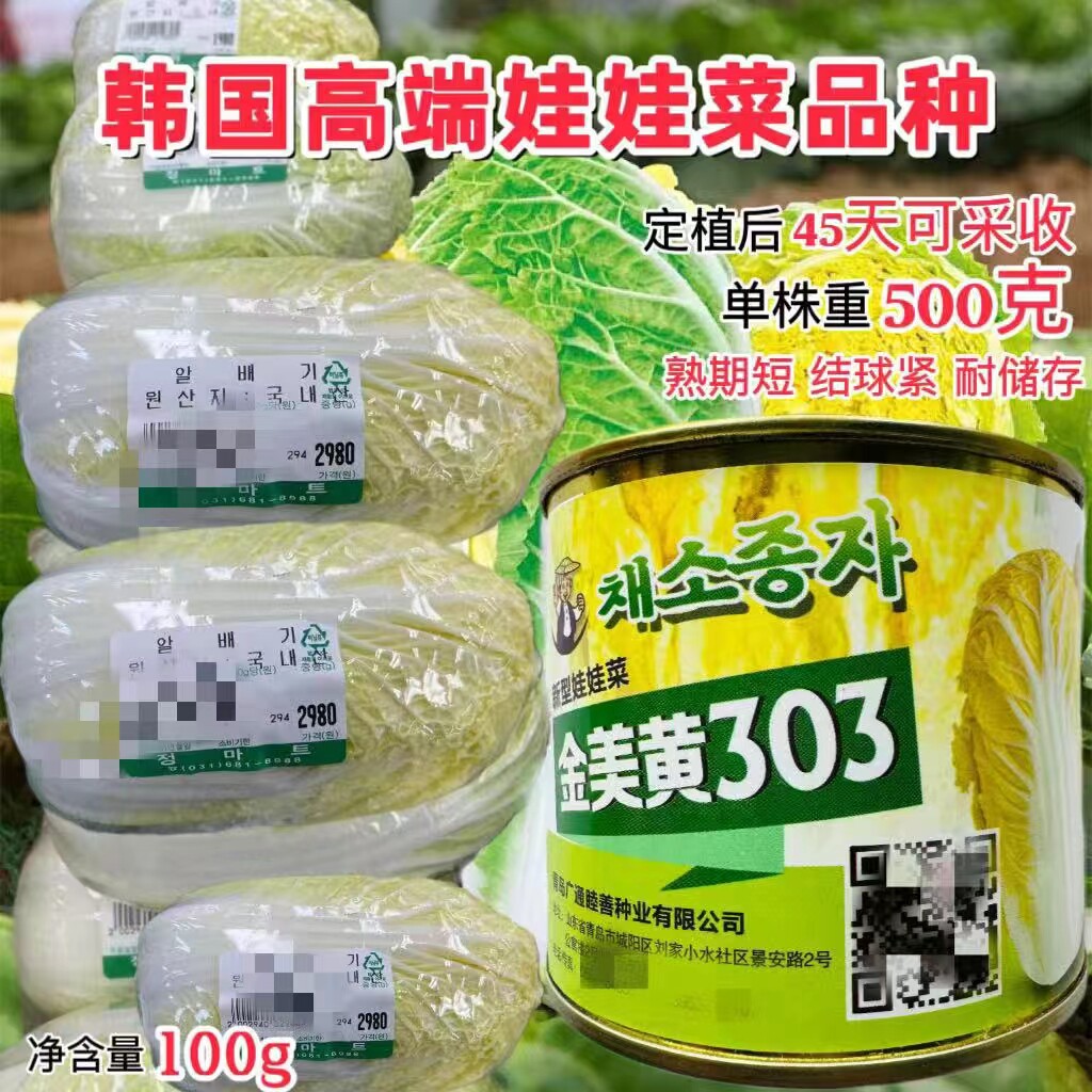 金美黄303娃娃菜种子韩国引进高产黄心娃娃菜种孑小型黄白菜籽