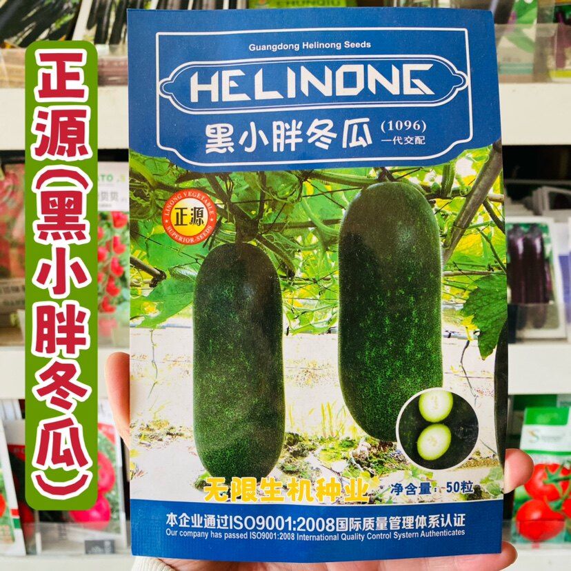 正源黑小胖冬瓜种籽黑皮
