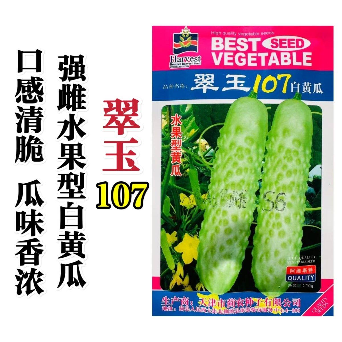 翠玉107白黄瓜种子强雌型水果白黄瓜种子口感清脆瓜味香浓春秋季