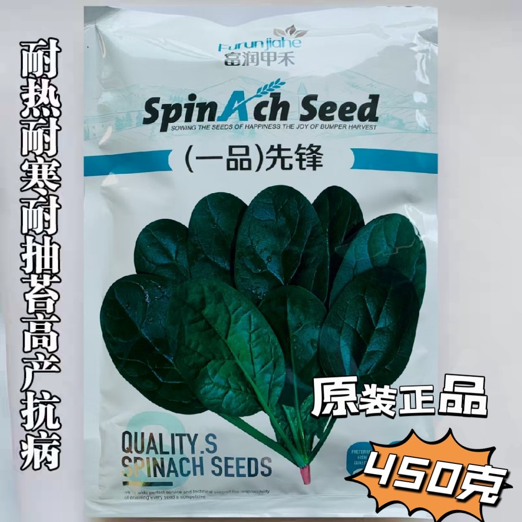 大圆叶菠菜种子早熟耐热耐寒家庭院阳台易种蔬菜四季种植