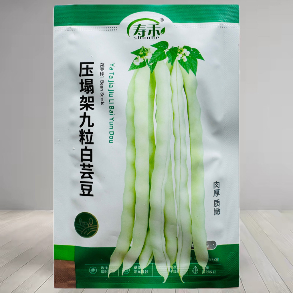 压塌架九粒白芸豆种子 老来少豆角种籽白花早熟摘不败四季豆种子