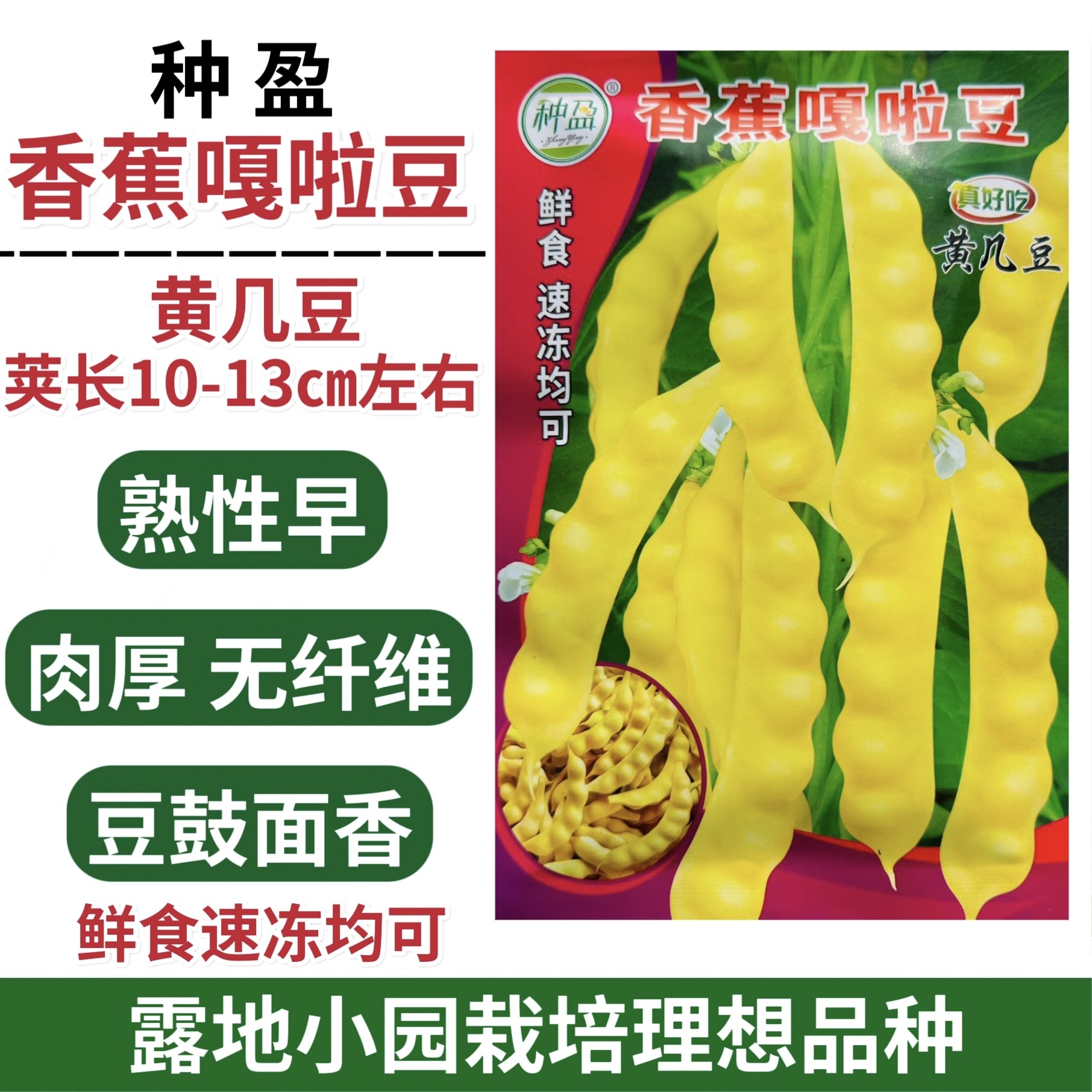 香蕉嘎啦豆种子黄几豆种子无纤维豆鼓面香黄油豆角种籽露地小园