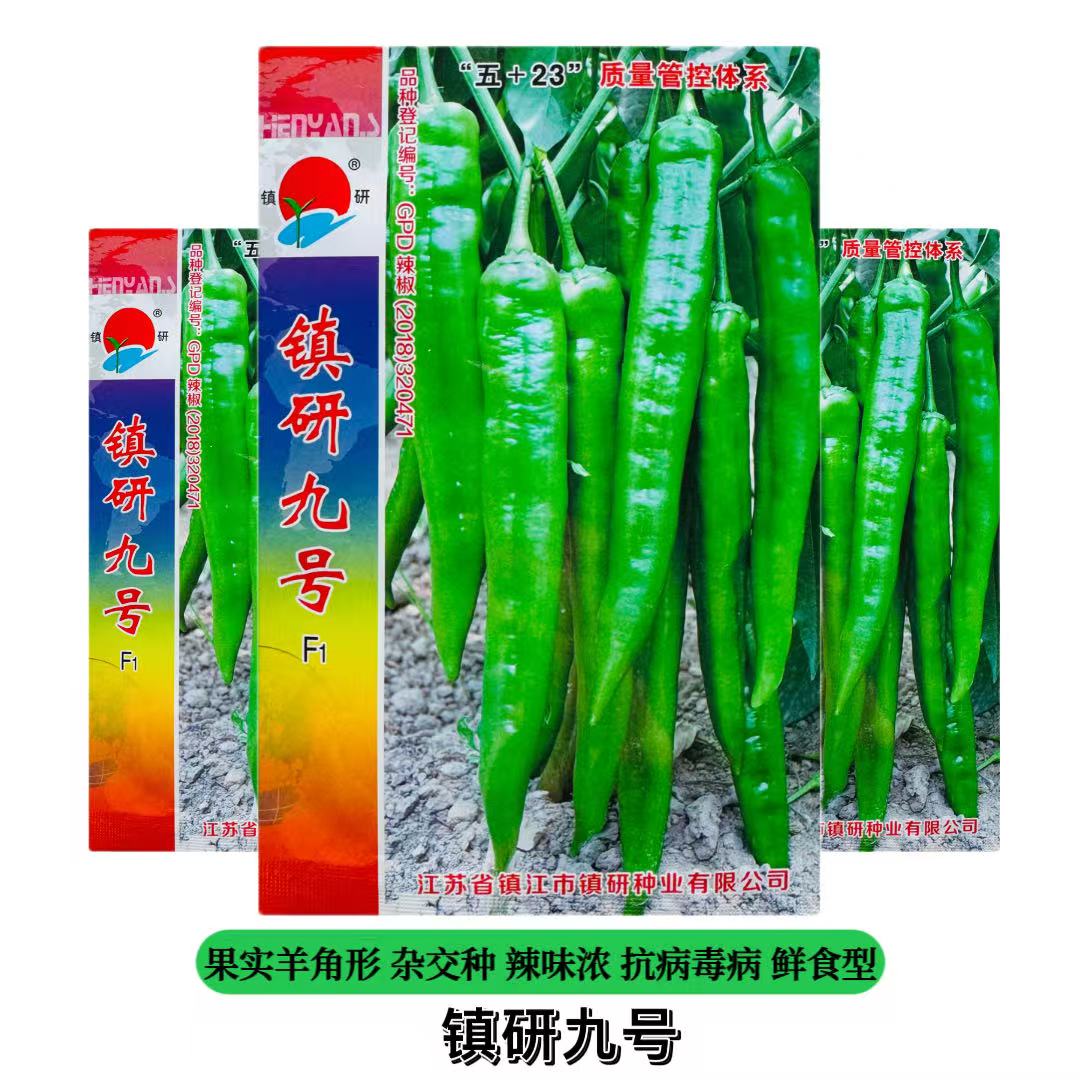 羊角椒镇研九号辣椒种子香辣长果高产抗病商品性佳农家春秋播精选