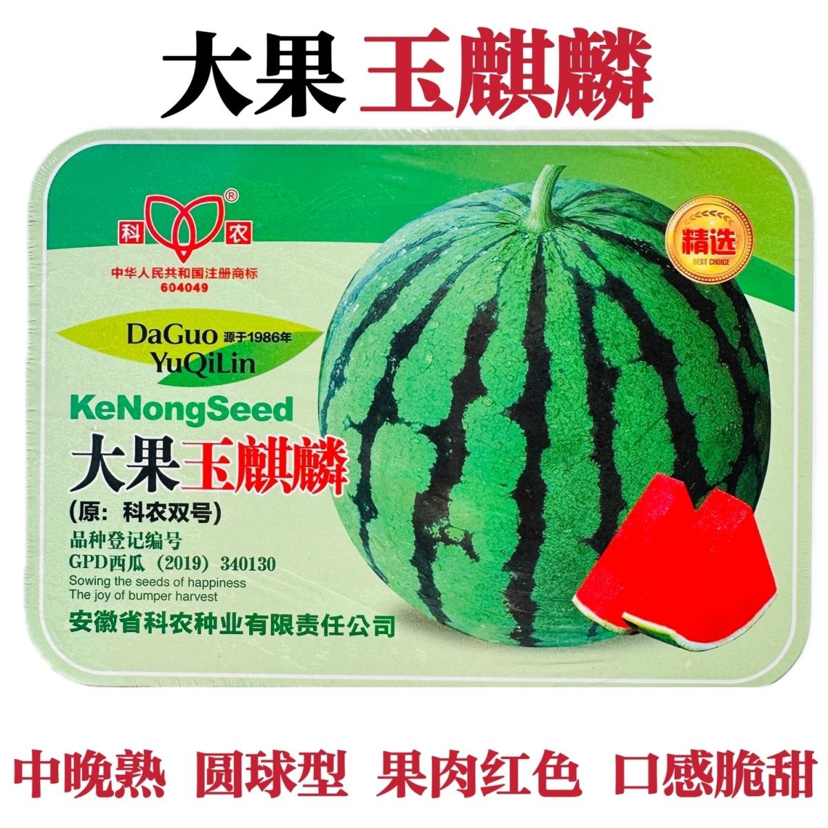 科农大果玉麒麟西瓜种子