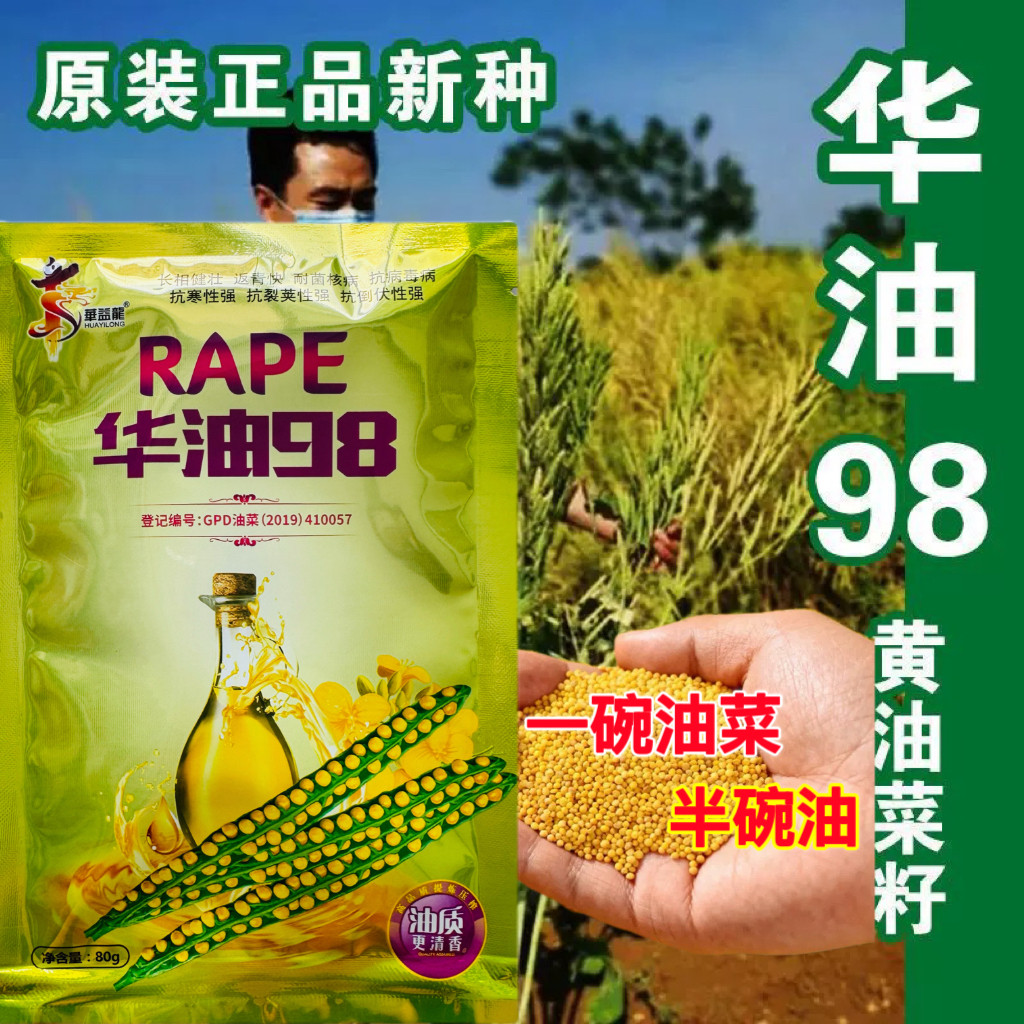 华油98油菜籽 出油高杂交高产榨油油菜花黄油菜籽早熟耐寒抗倒伏