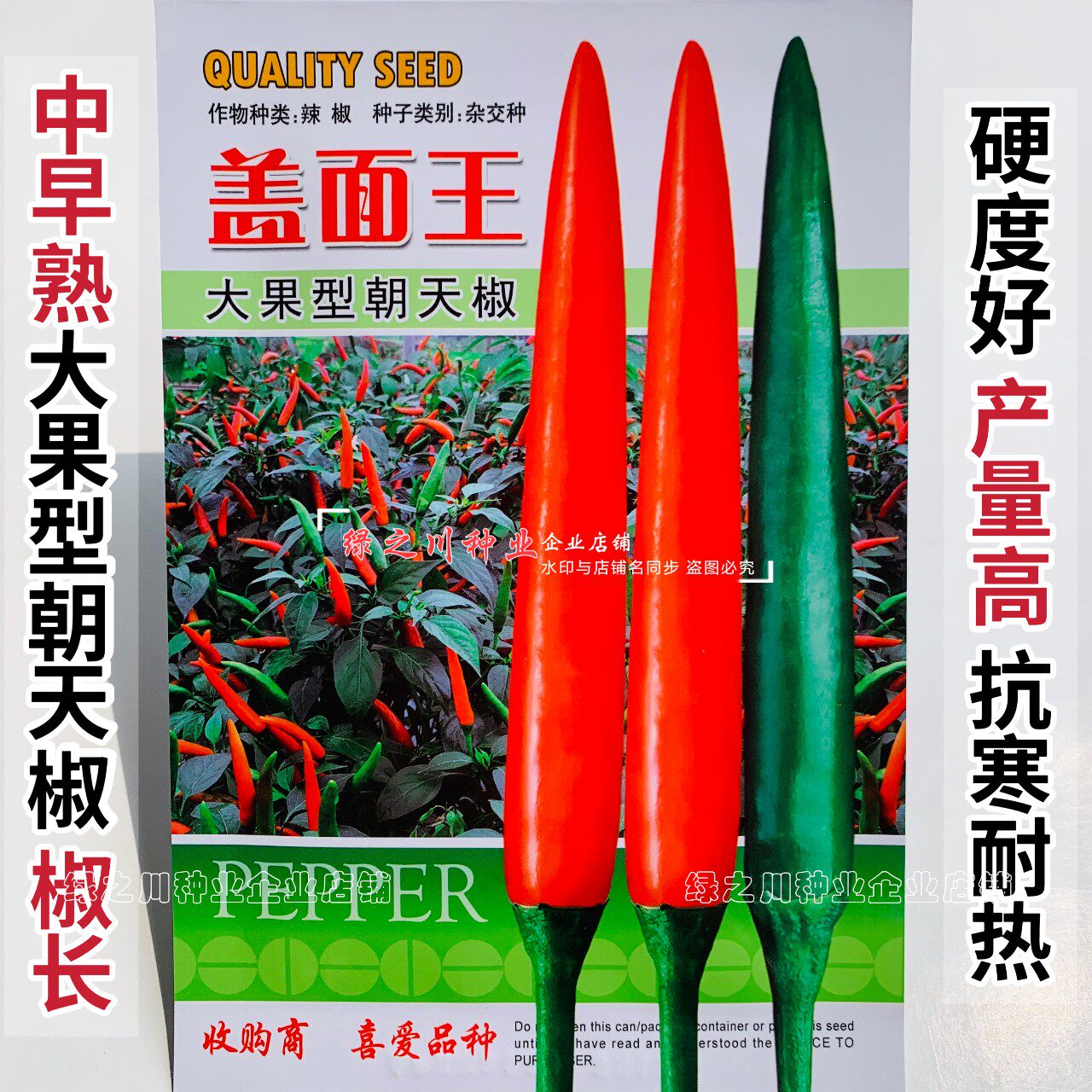 农好盖面王朝天椒种孑泰