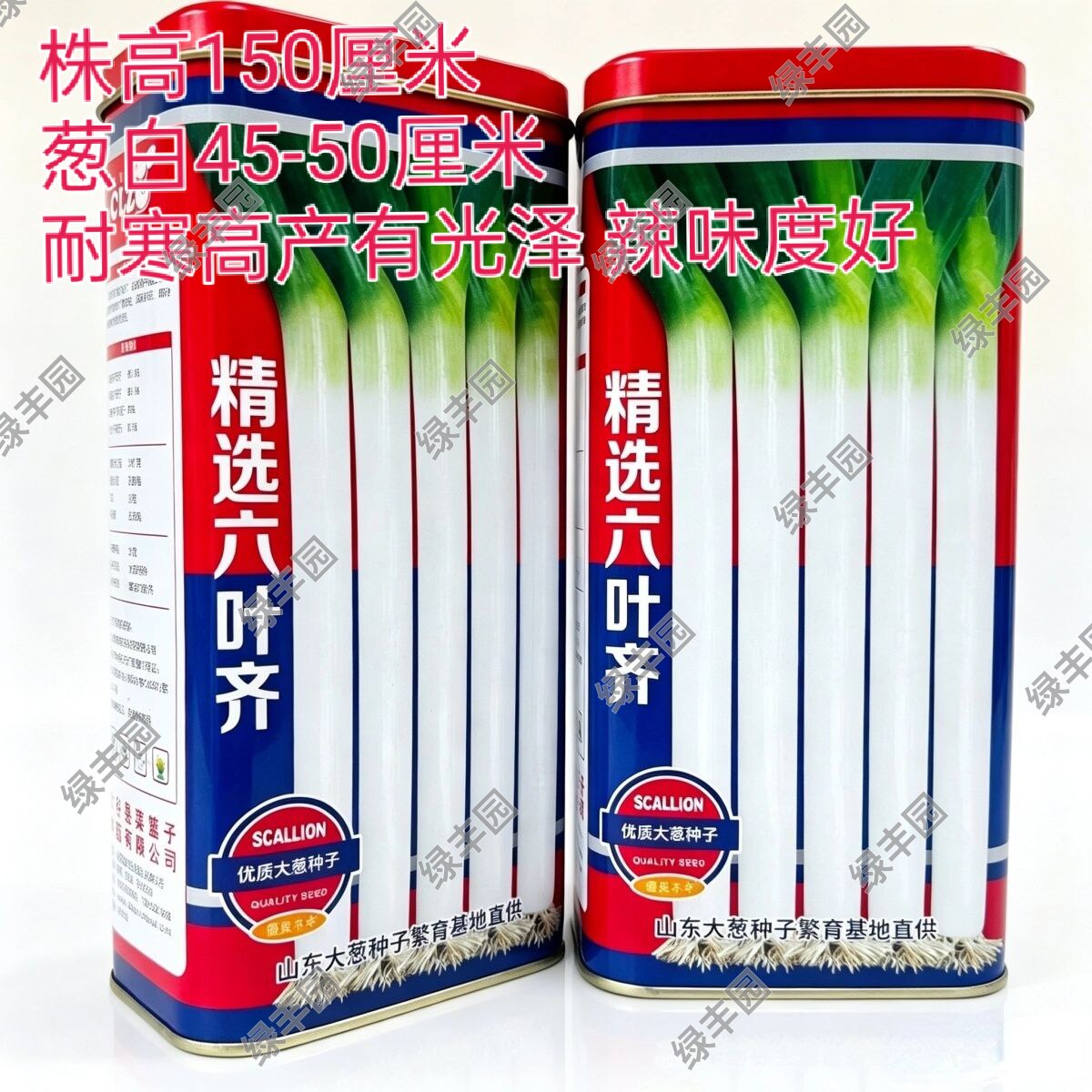 精选六叶齐山东铁杆大葱种子葱杆硬较耐寒抗逆性强适应性广春秋播