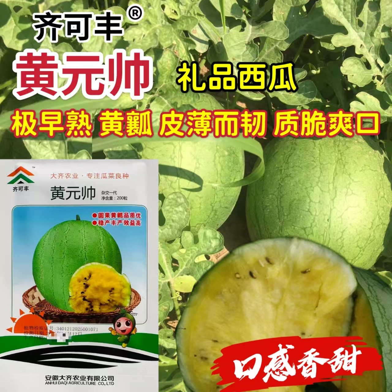 大齐黄元帅礼品小西瓜种子超甜花皮黄瓤西瓜种籽特早熟薄皮瓜香甜