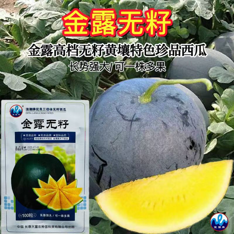 金露无籽高档西瓜种子特