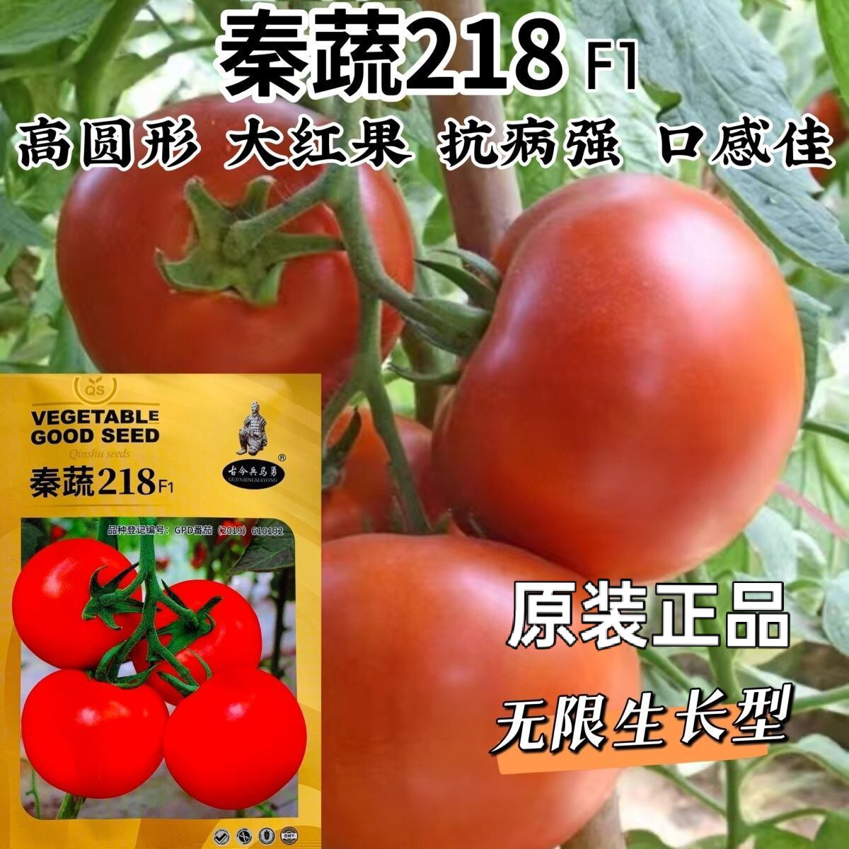 秦蔬218西红柿种子大红果番茄种籽抗病强耐寒耐热性好硬果番茄籽