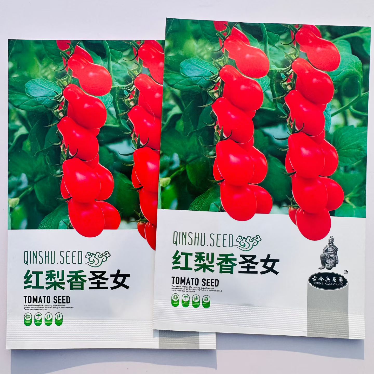 红梨香圣女番茄种子早熟高产抗病耐热耐寒农家菜园大田基地种植