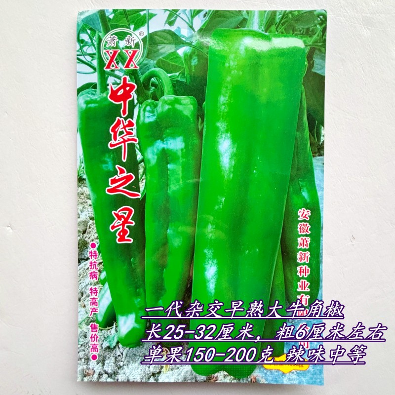 萧新中华之星牛角椒种子