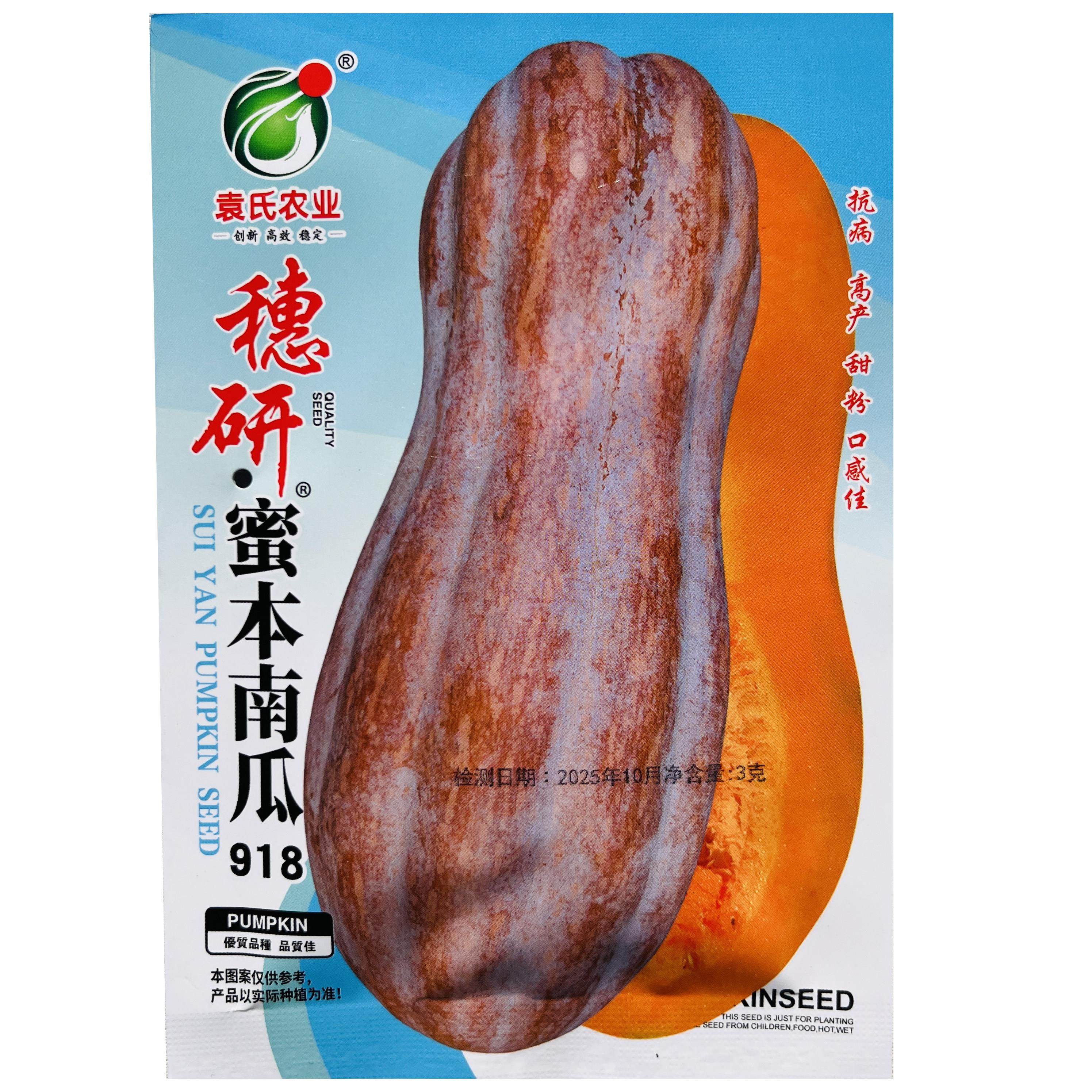 穗研蜜本南瓜种子中熟高产抗病抗倒伏农家菜园基地种植南瓜种子籽