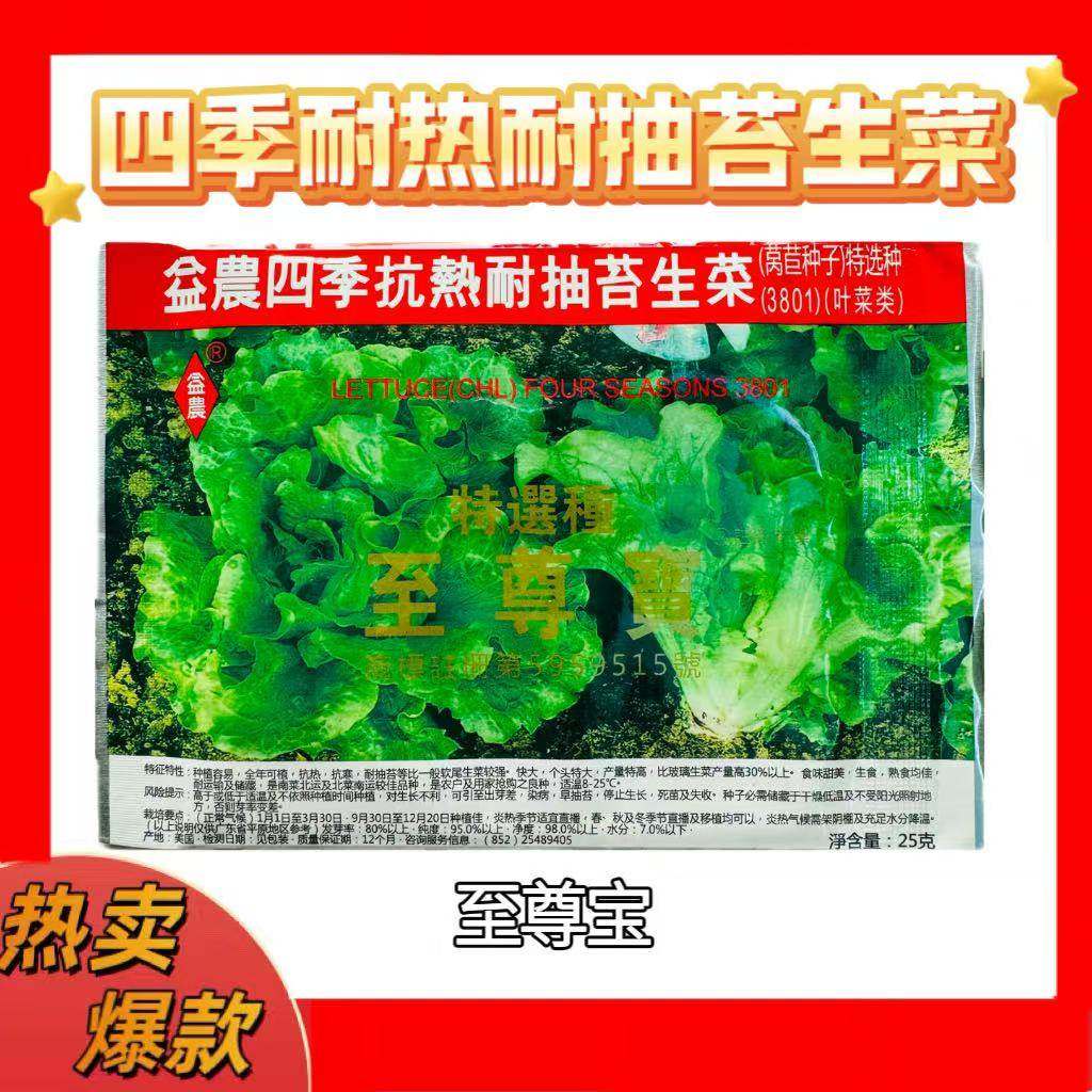 至尊宝益农抗热耐抽苔生菜种子耐热夏秋季四季蔬菜种籽25克