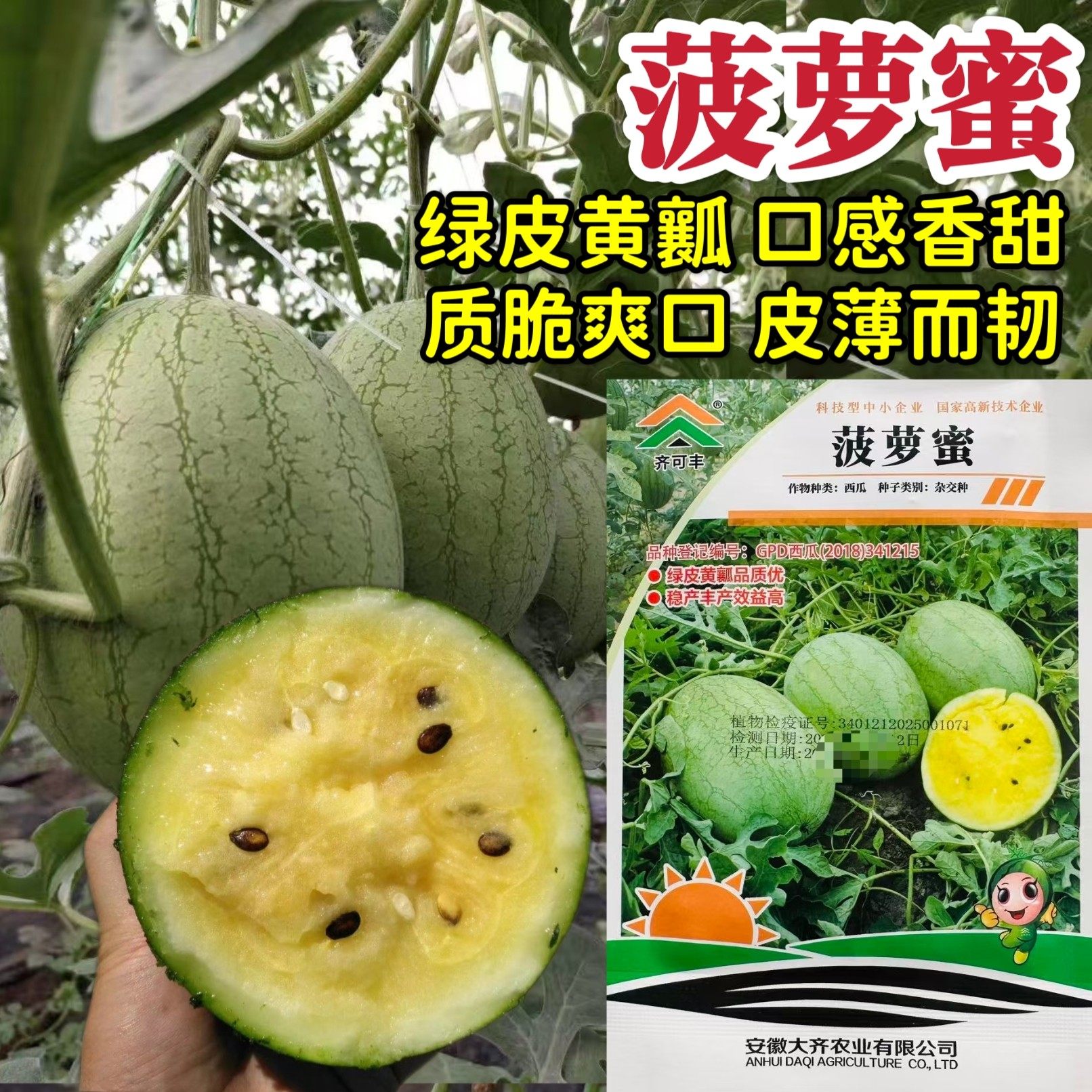菠萝蜜西瓜种子香甜黄瓤礼品西瓜种子早熟椭圆形质脆爽口皮薄