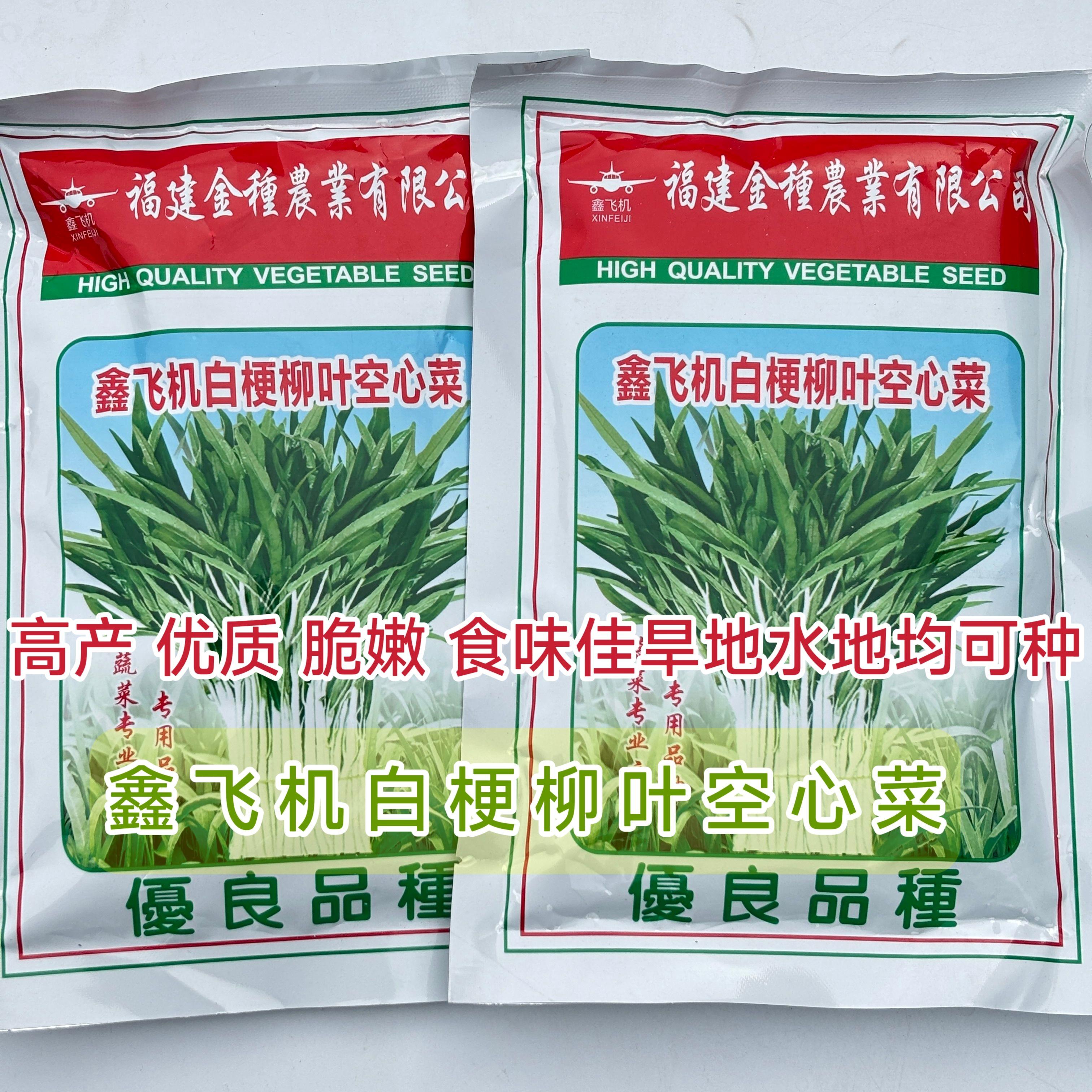 正宗白梗柳叶空心菜种子
