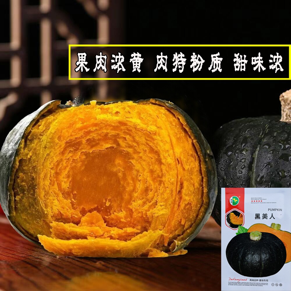 德丰黑美人南瓜种子早熟