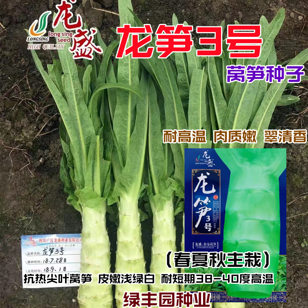 尖叶浅绿肉耐高温莴笋种子翠清香