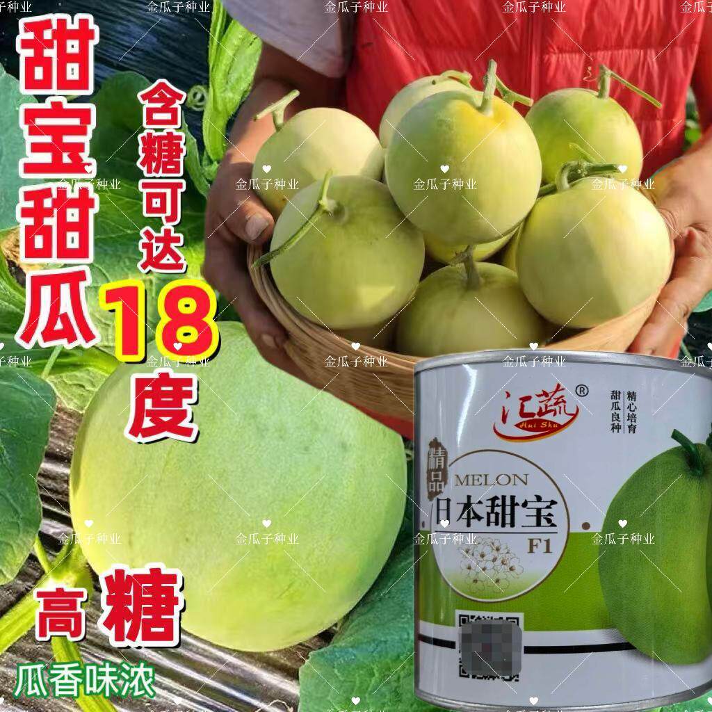 日本甜宝甜瓜种子薄皮超