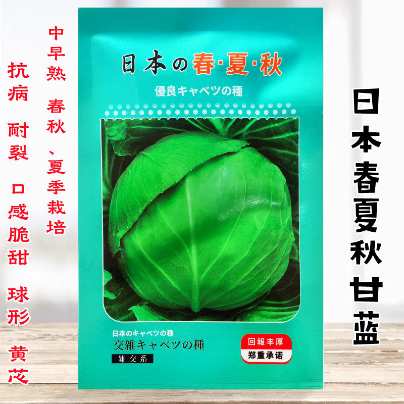 日本春夏秋甘蓝种子籽中早熟耐热耐寒耐裂抗病高产平包扁包包菜籽