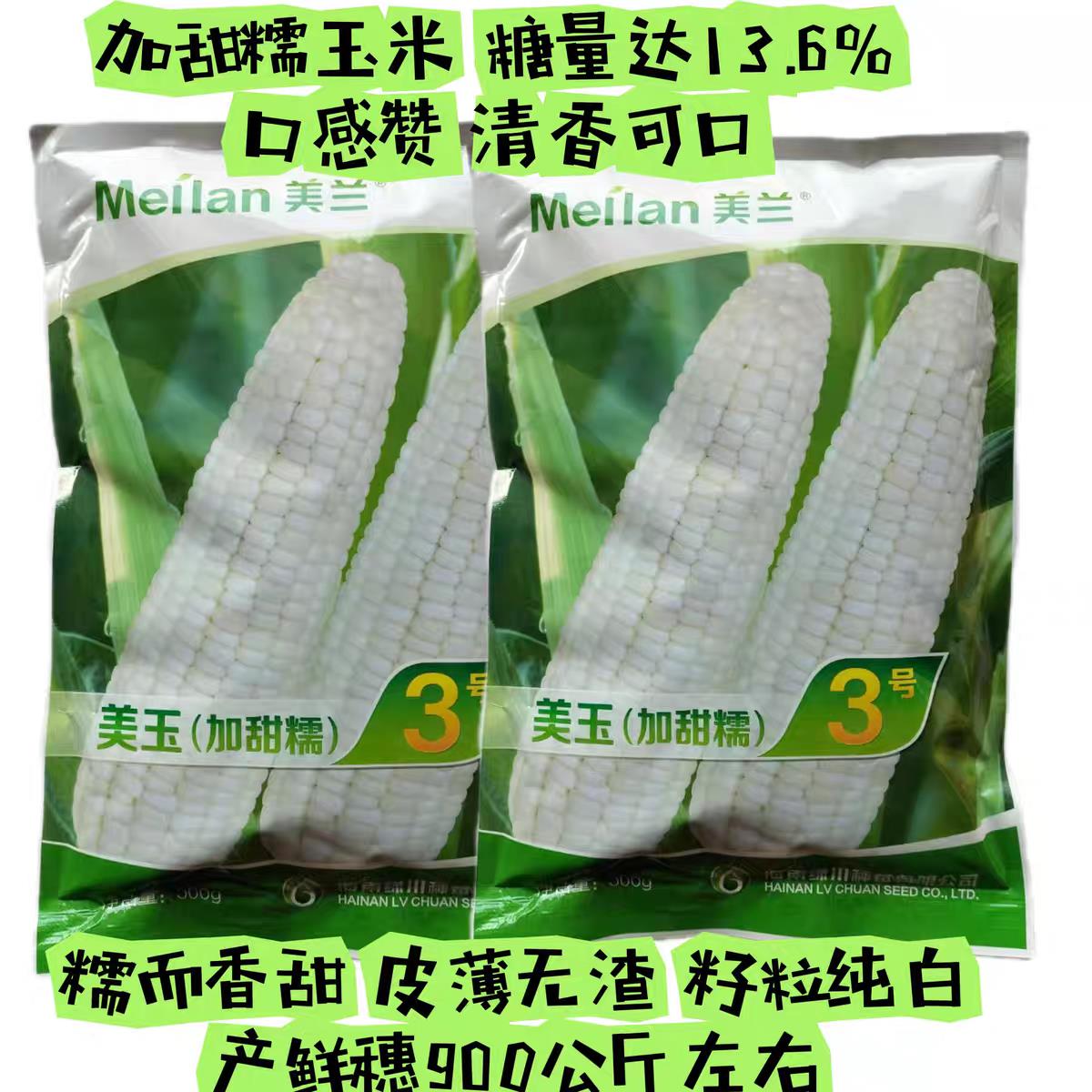 美兰美玉3号玉米种子甜糯玉米种子优质稳产型全国加甜糯玉米种子