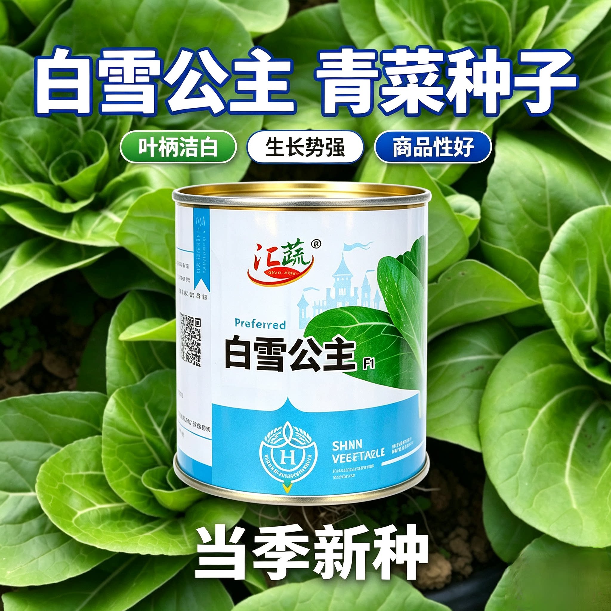汇蔬白雪公主矮脚青梗菜种子束腰头大叶柄扁平白微皱纤维少