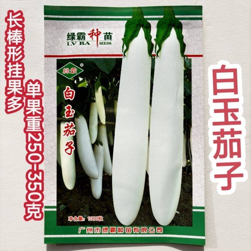 白玉茄子种子分枝强瓜果多皮乳白色形状美肉白细嫩软滑品质优高产