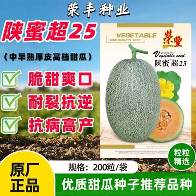 陕蜜超25哈密瓜种子网纹瓜甜瓜籽甘甜香脆含糖度高抗病强大田种孑