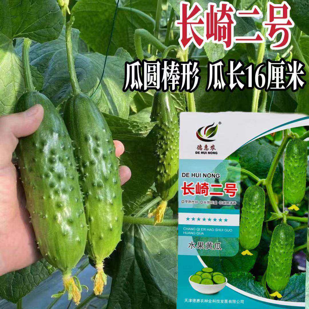 长崎二号水果黄瓜种子农家菜园春秋播黄瓜种籽甜脆清香早熟黄瓜种,农用物资,蔬菜种子/种苗,淘宝优惠券,粉丝福利购,淘宝优惠卷