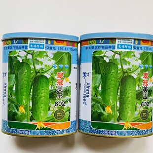 翠冠美玉602水果黄瓜种子黄瓜种籽春夏秋四季播耐热香甜节瓜种孑